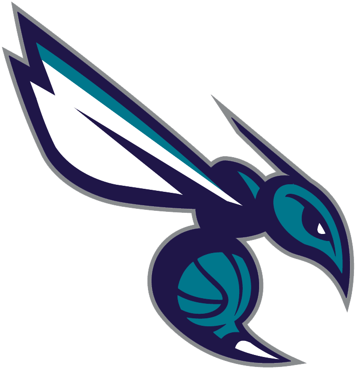 Charlotte Hornets 2014-Pres Alternate Logo t shirts iron on transfers v4
